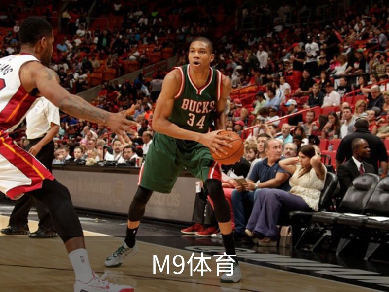 M9体育介绍